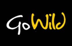 GoWild Casino